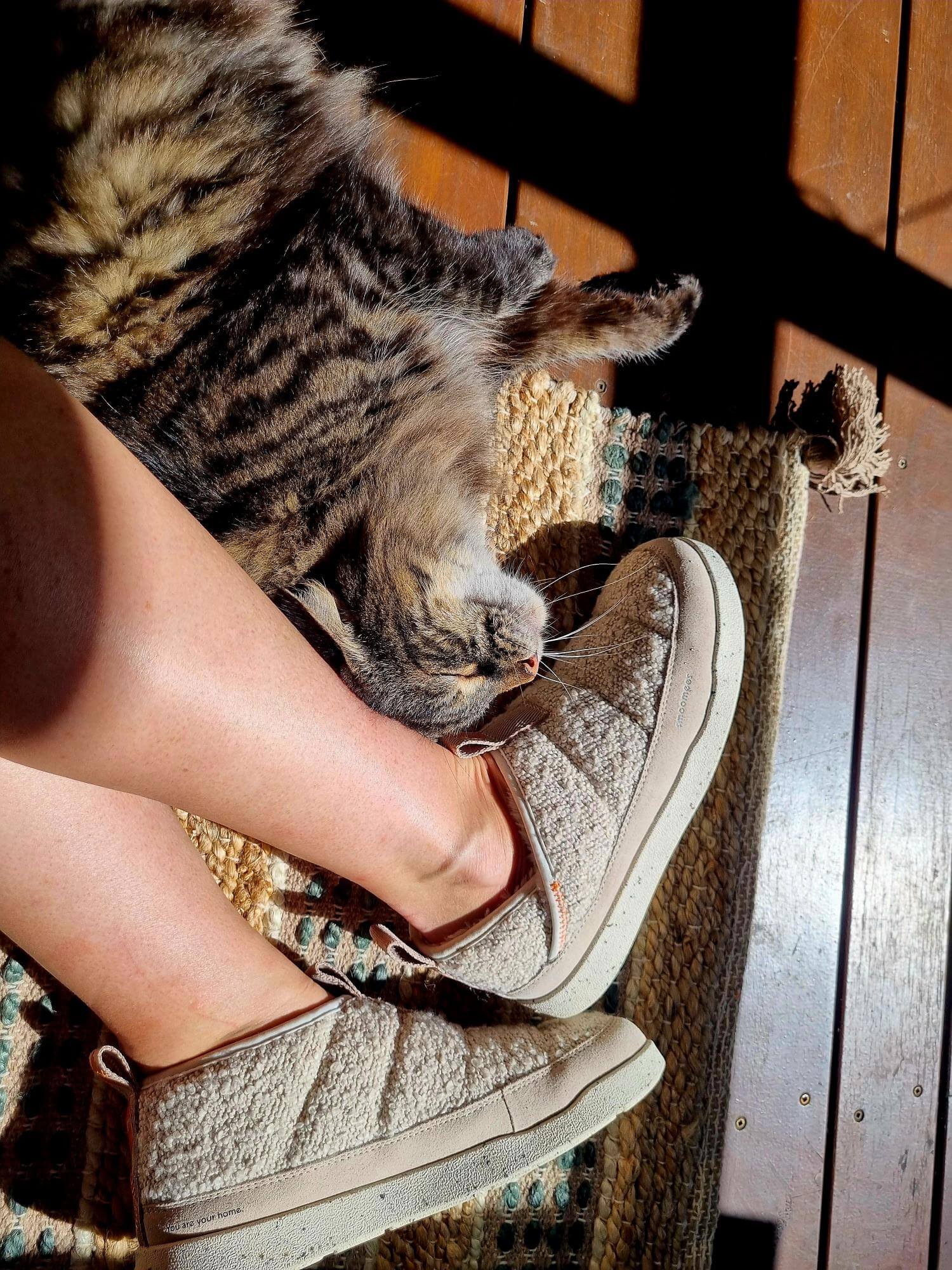 warm slippers