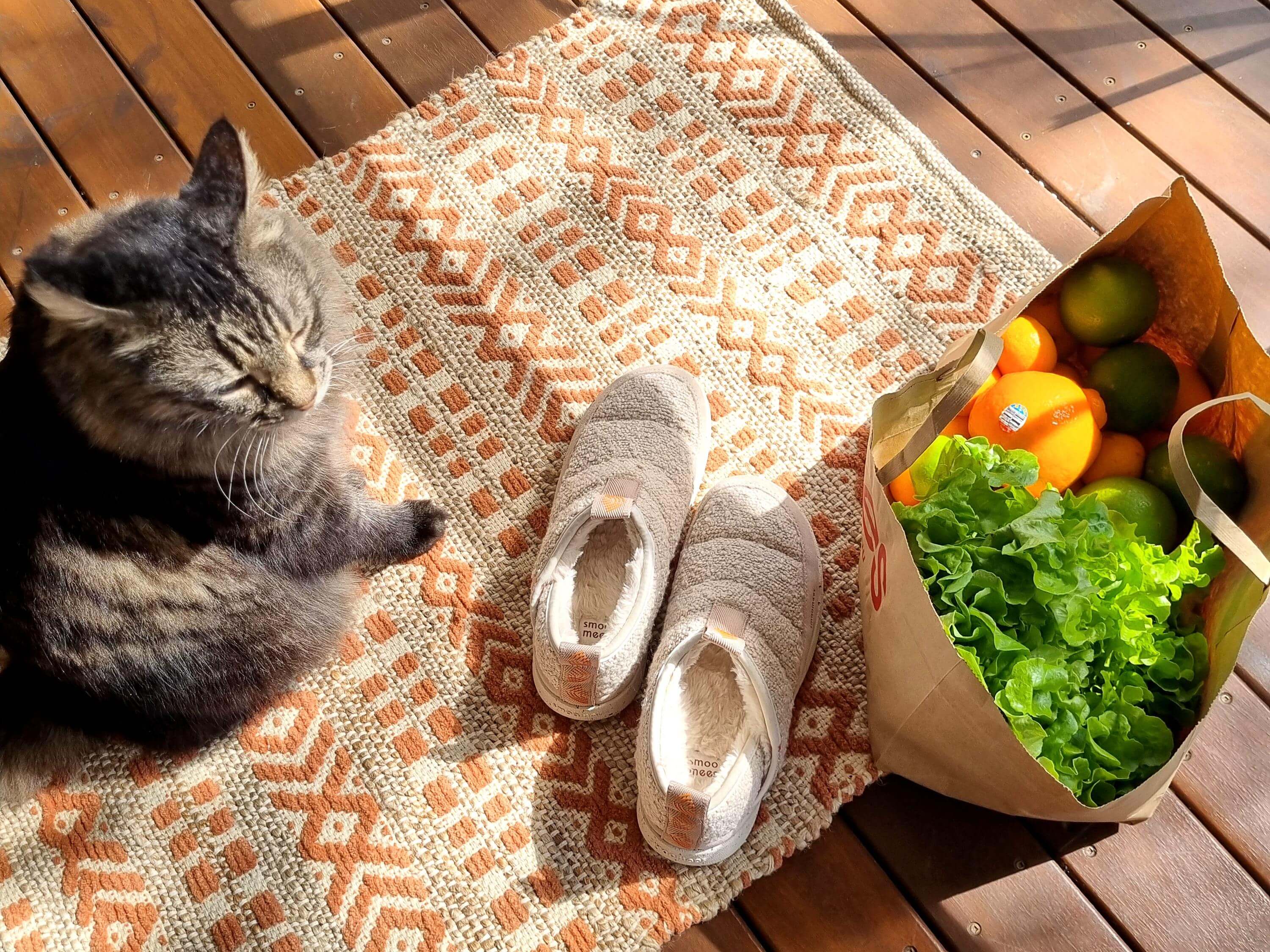 Pair of comfy slippers